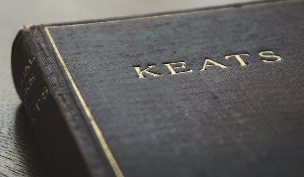 Decoding Coughanowr Insurance: Beyond the Policy Document