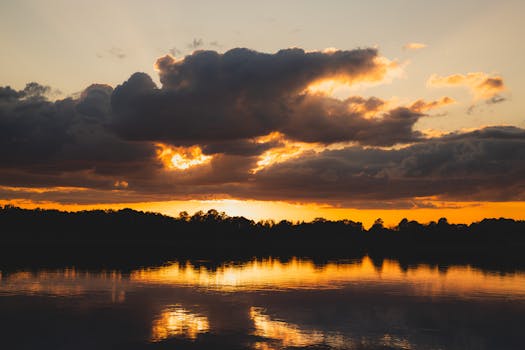 Beyond the Basics: Unpacking the Engineered Precision of beko technologies corporation