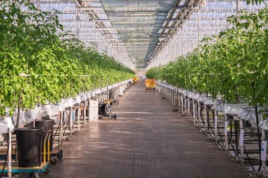 Decoding the Future: What’s Really Buzzing in Greenhouse Technology News Today?