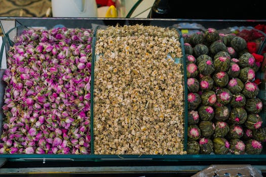 Harnessing Thyme’s Ancient Power: Your Practical Guide to Thyme Herb Health Benefits